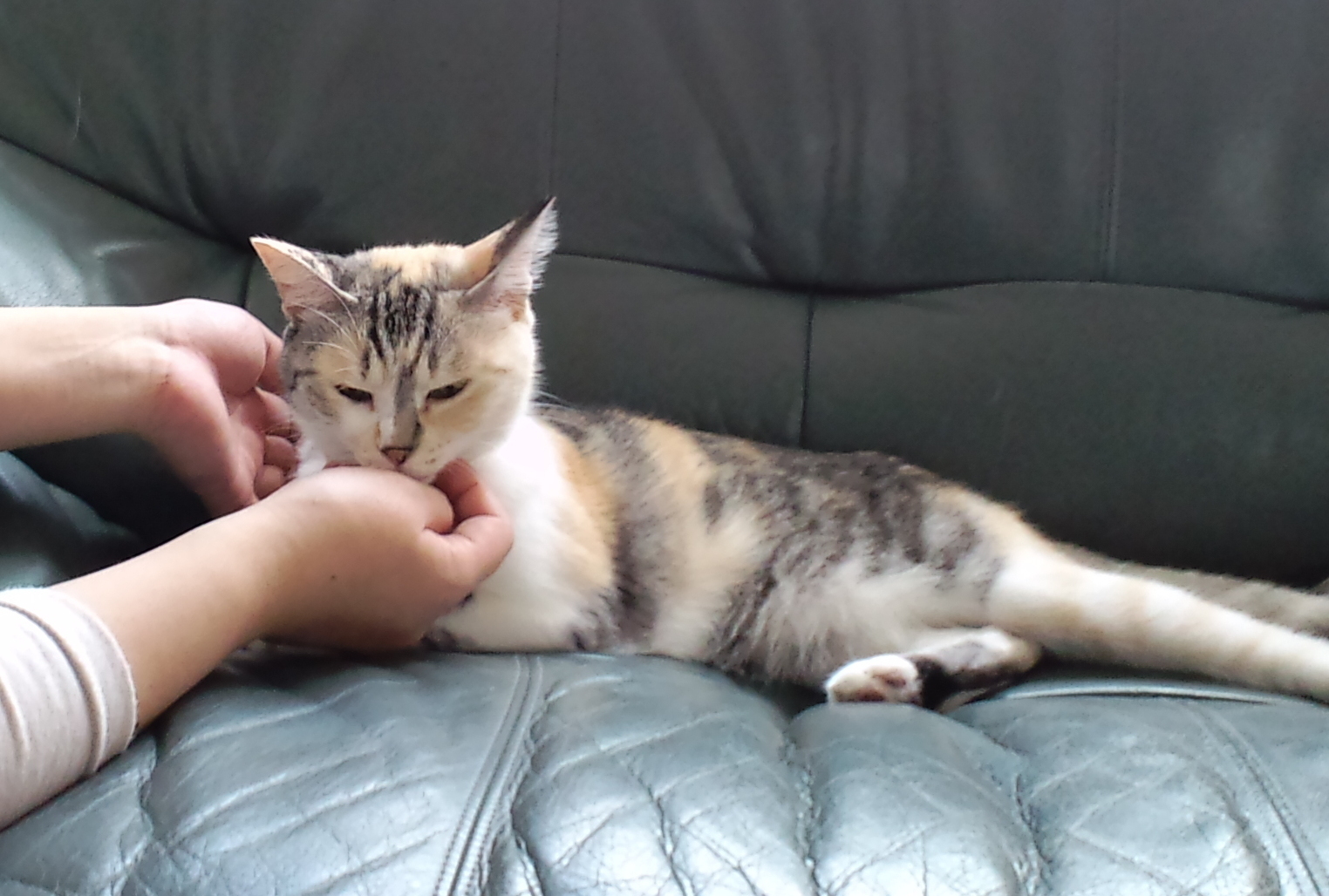 2013-9-16-2(V.2013_10_31__01_35_17).jpg