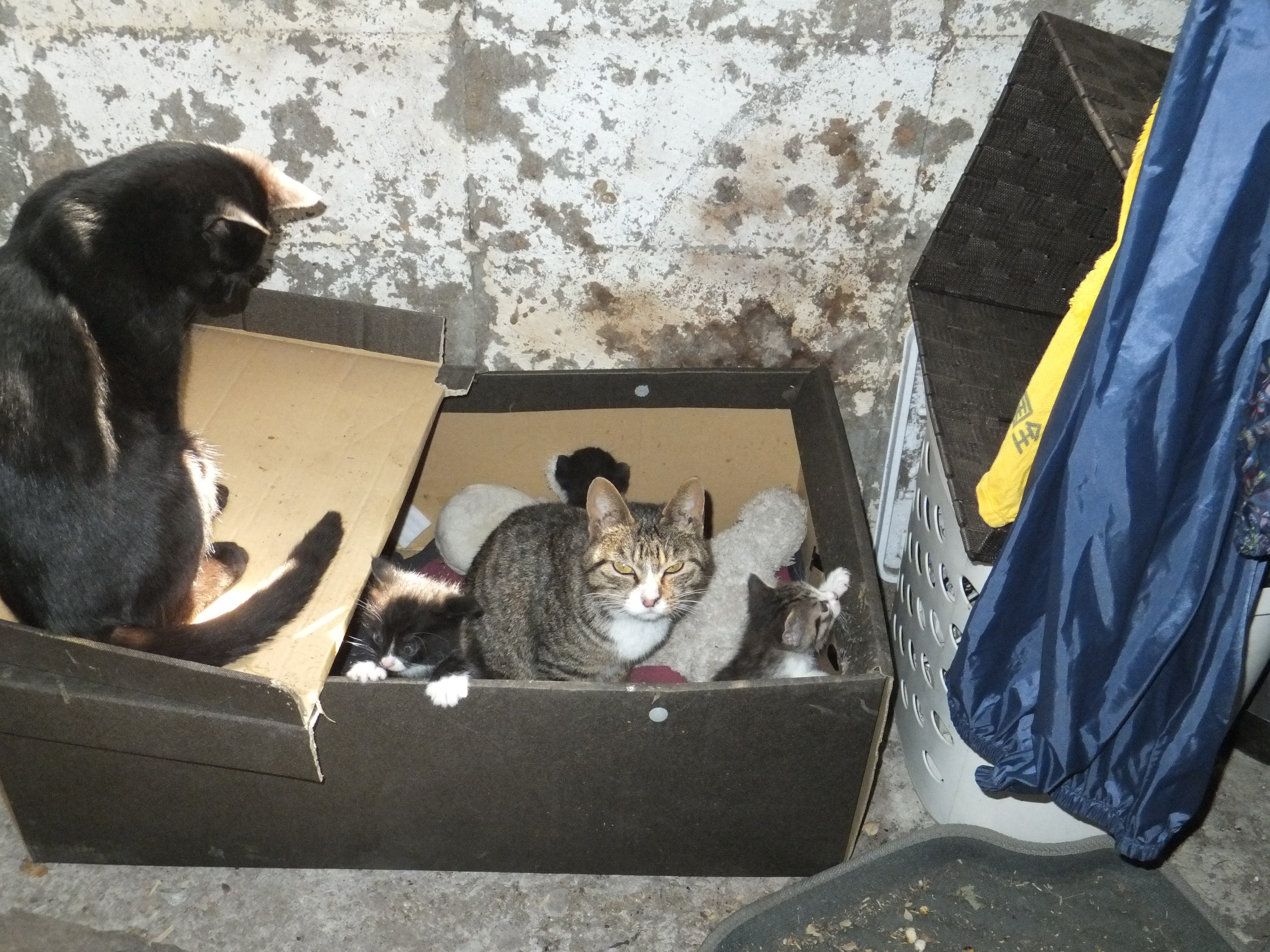 DSCF0125.JPG