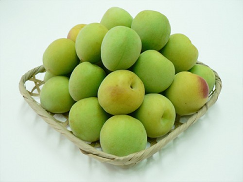 ume001.jpg