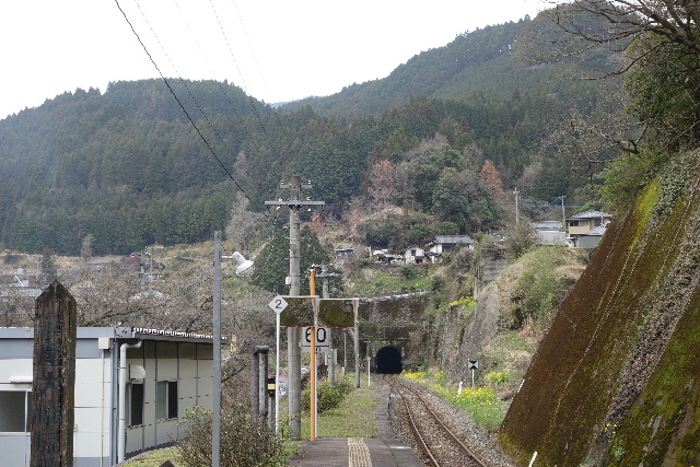 DSC03829.JPG