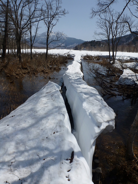 雪解け1.jpg