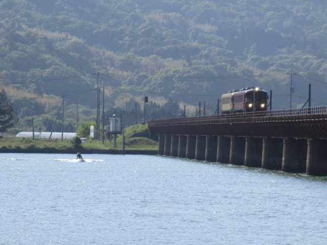 由良川を渡るあかまつ