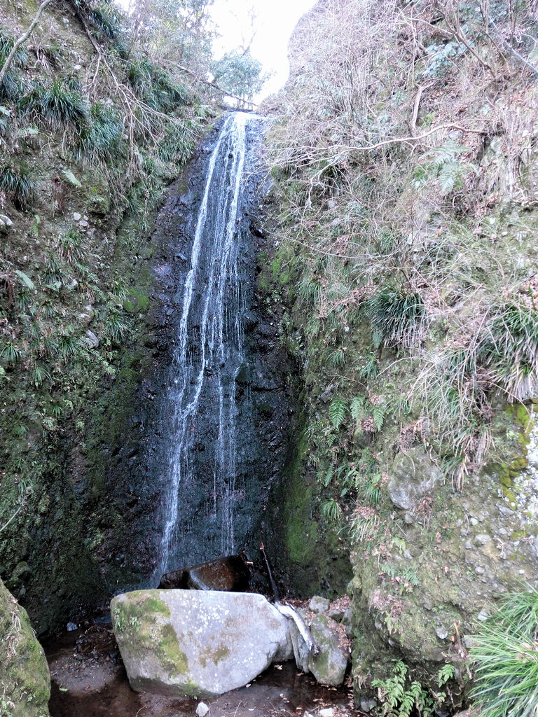 20110306-12.jpg