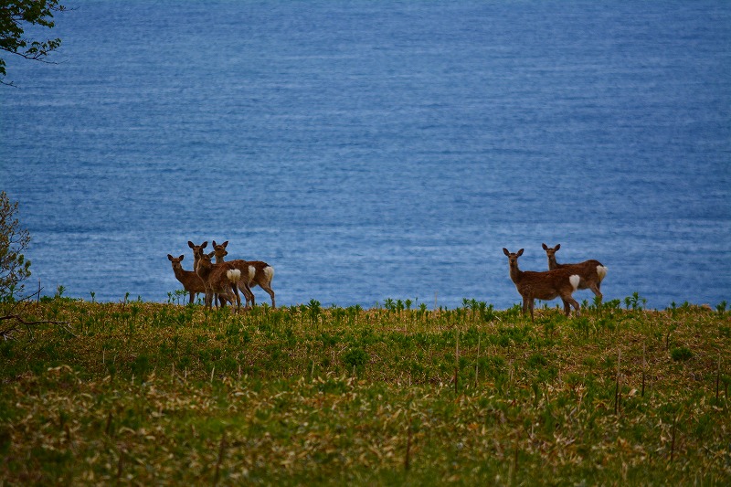 DSC_0622.jpg
