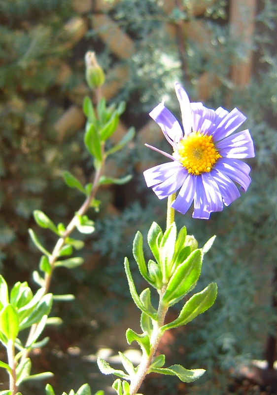 DSCN4034.JPG