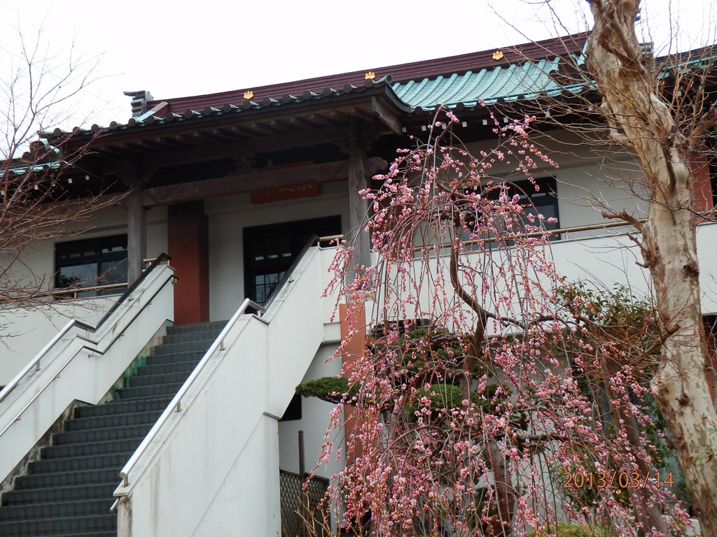 P3140212a横浜 薬王寺.JPG