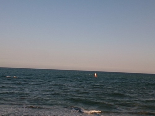 20180419  DSC_0001.jpg