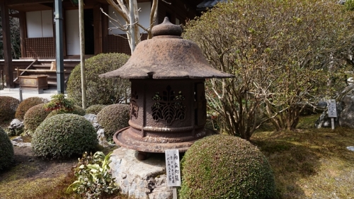 20160323 14364901.JPG