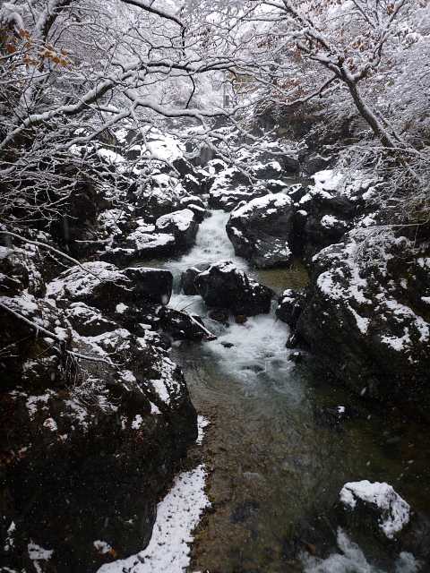 雪の渓201311142.jpg
