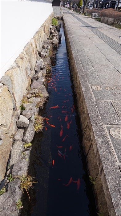 20160324 10231701.JPG