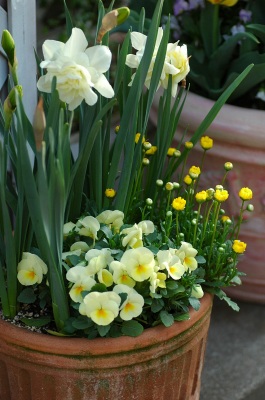 コピー ～ f 100.jpg