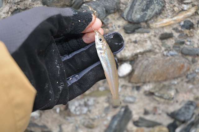 showPhoto (640×426)