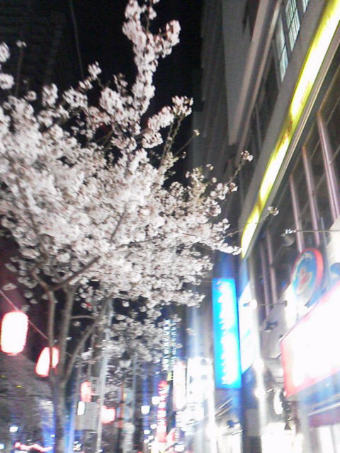 2012040818530000.jpg