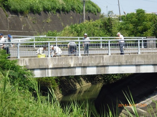 第８ポイント久谷川ぬめり江橋.jpg