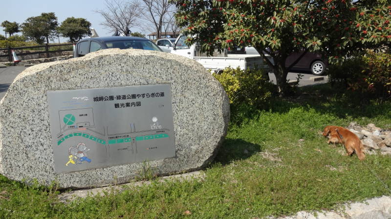 DSC08233.JPG