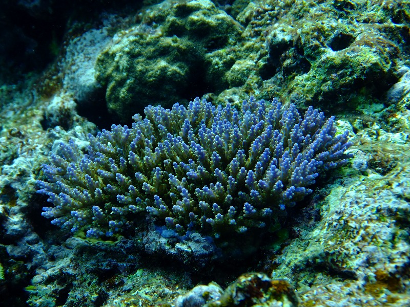DSCF4160.jpg