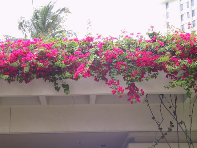 IMG_5423.JPG