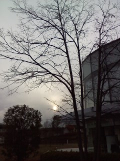 201212054 cloudy-fine 01.JPG