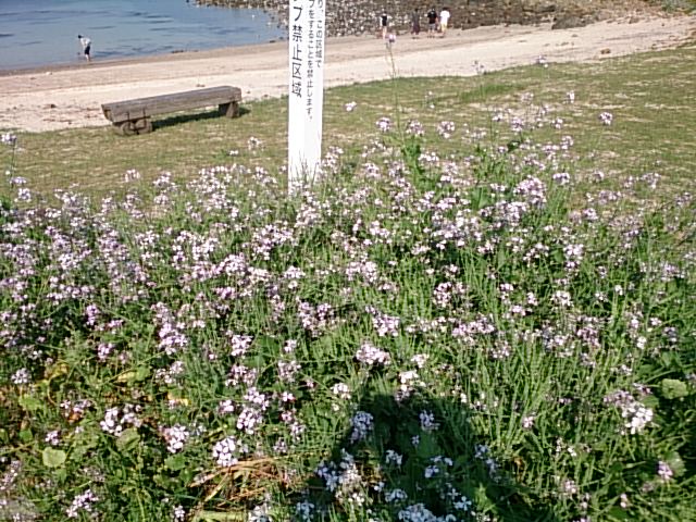 20150510  DSC_0010.jpg