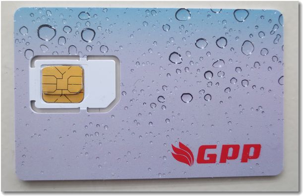 GPP リセット SIM 01.jpg