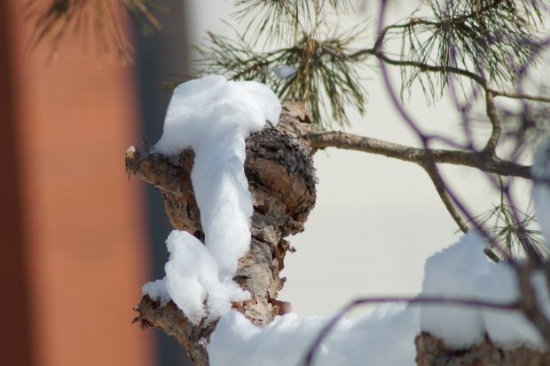 _DSC2389.JPG