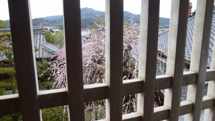 2017.3.8-utiko-hakubutukan.JPG