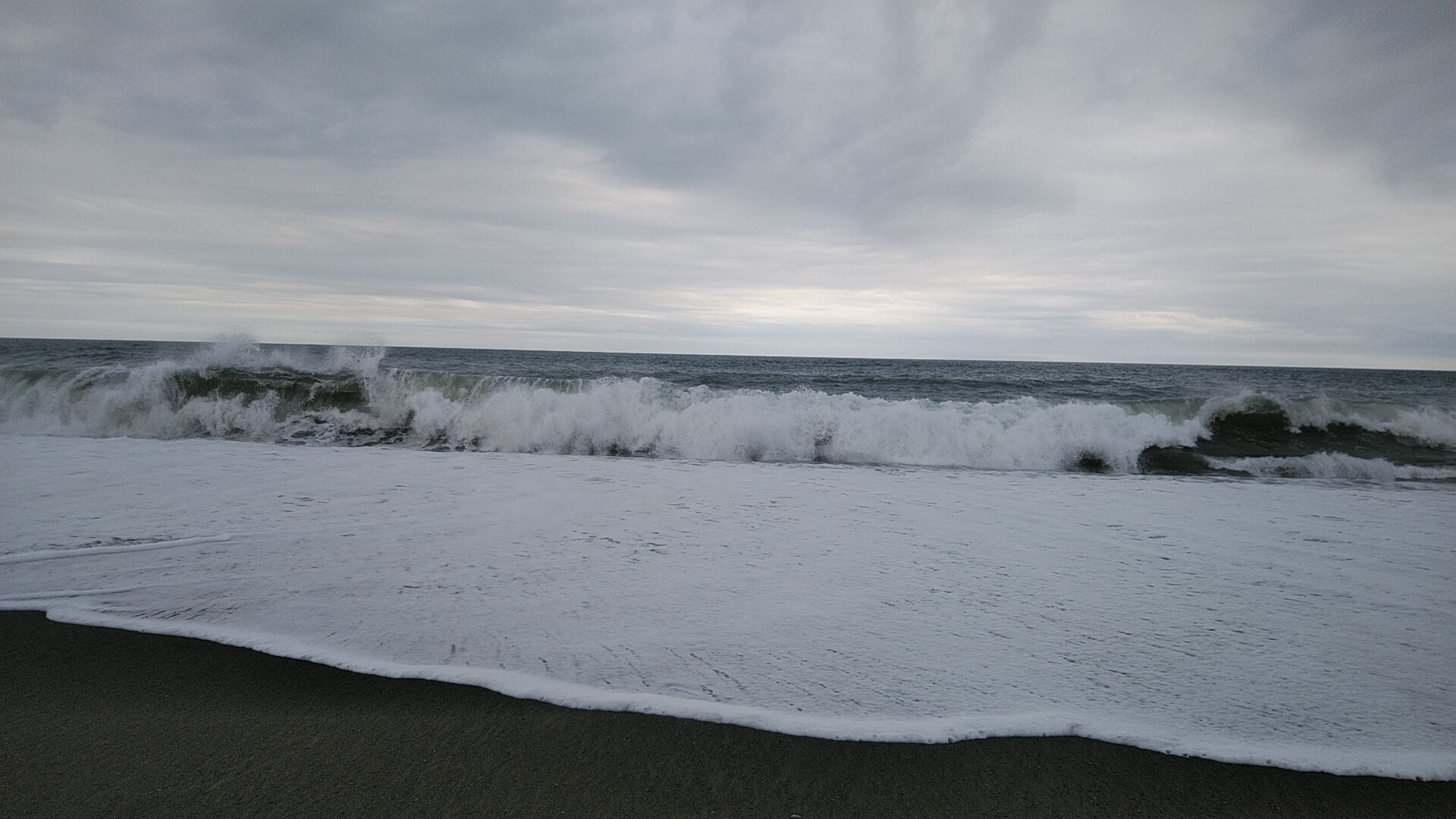 20220327  DSC_0002.jpg