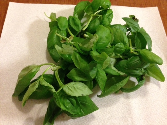 生バジル(V.2014_08_31__09_53_38).jpg