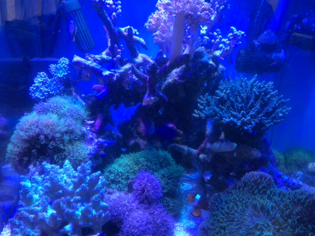 image1.JPG