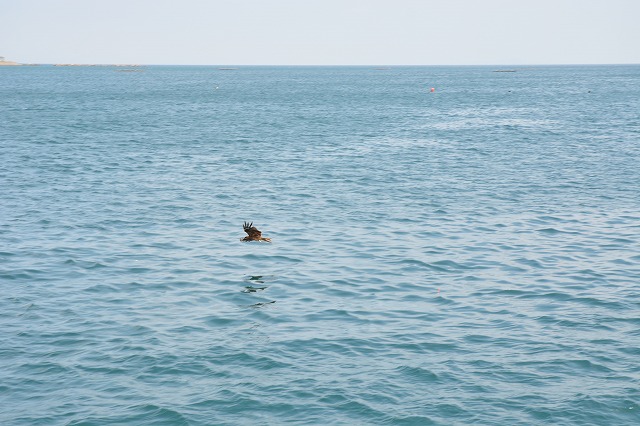 showPhoto (640×426)