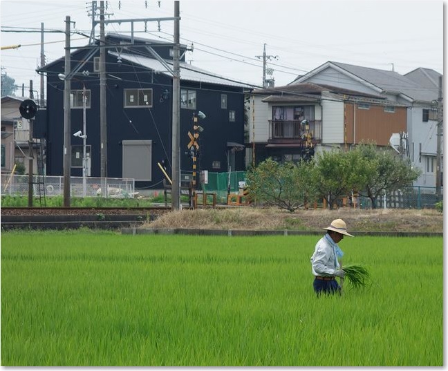 09農業のおじさん
