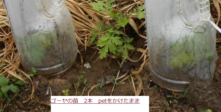 ごや.JPG