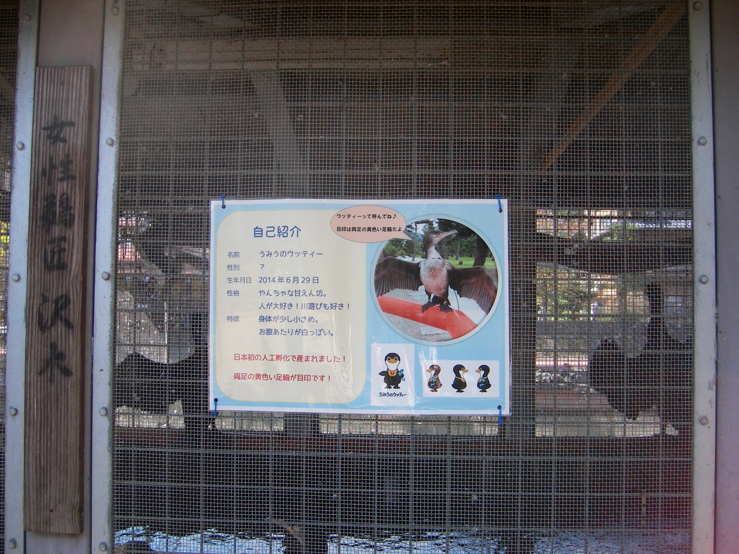 UNI_0016.JPG