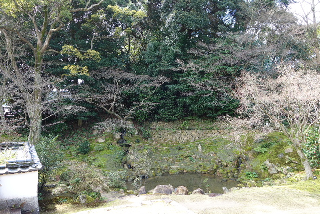 DSC04812.JPG