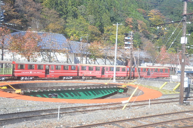 DSC_1768.JPG