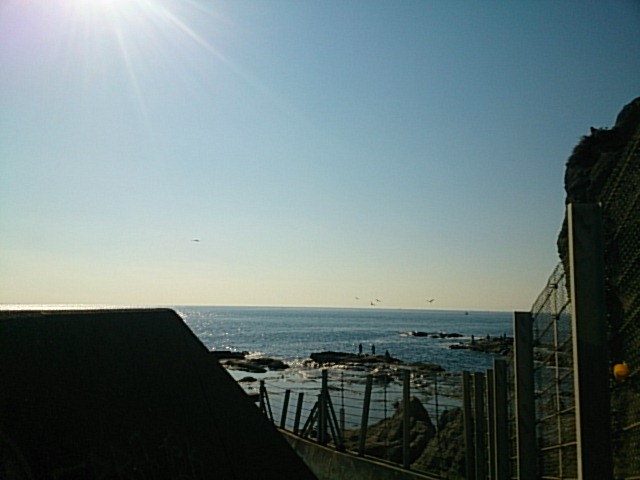 20151209  DSC_0008.jpg