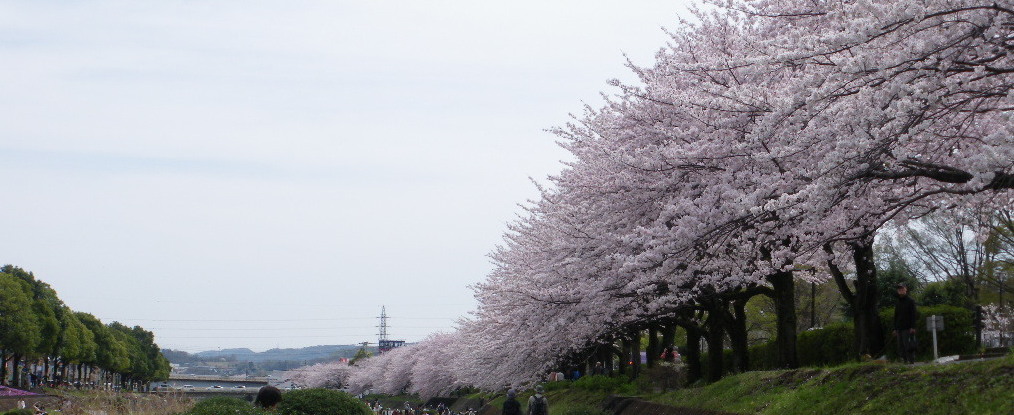 IMGP0073(V.2016_04_06__10_01_30).jpg