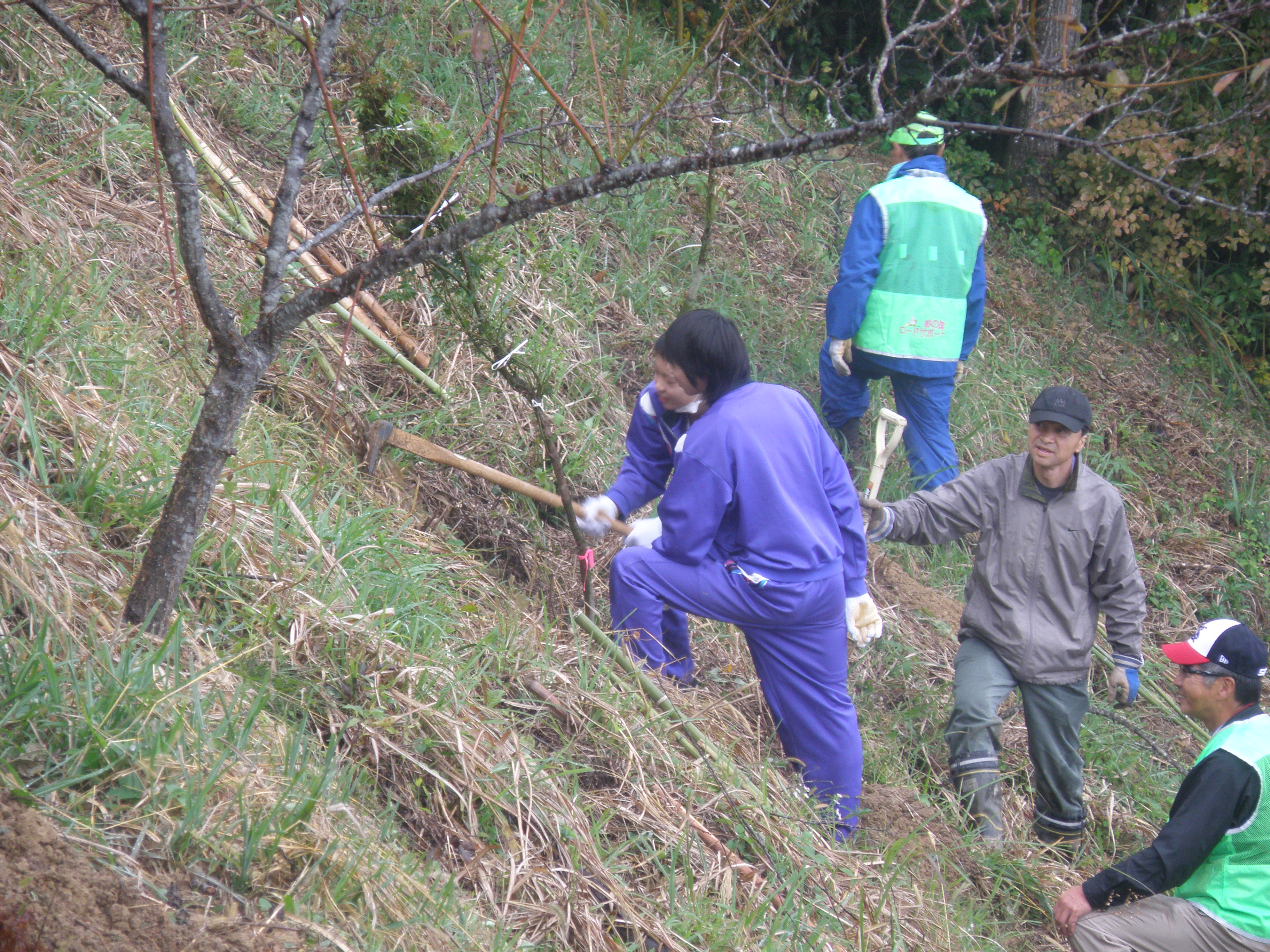 PA280047.JPG