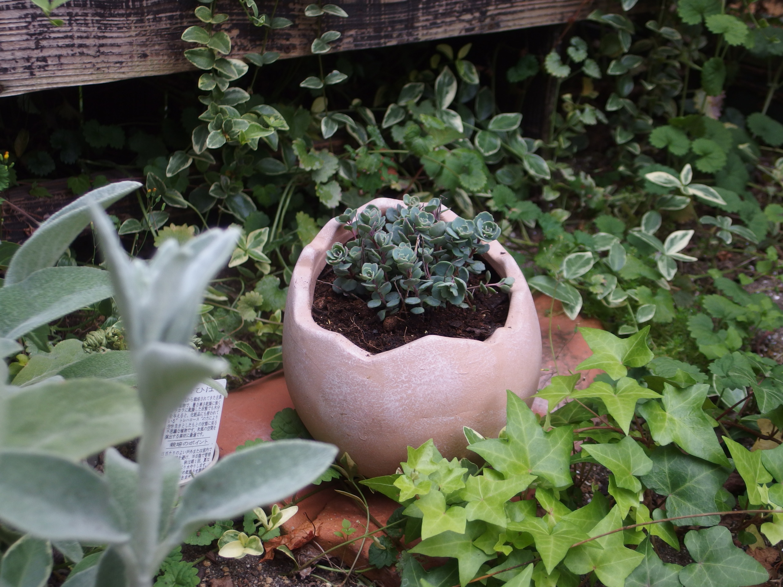 2015-06-05 16.20.36.jpg