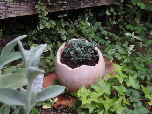 2015-06-05 16.20.36.jpg