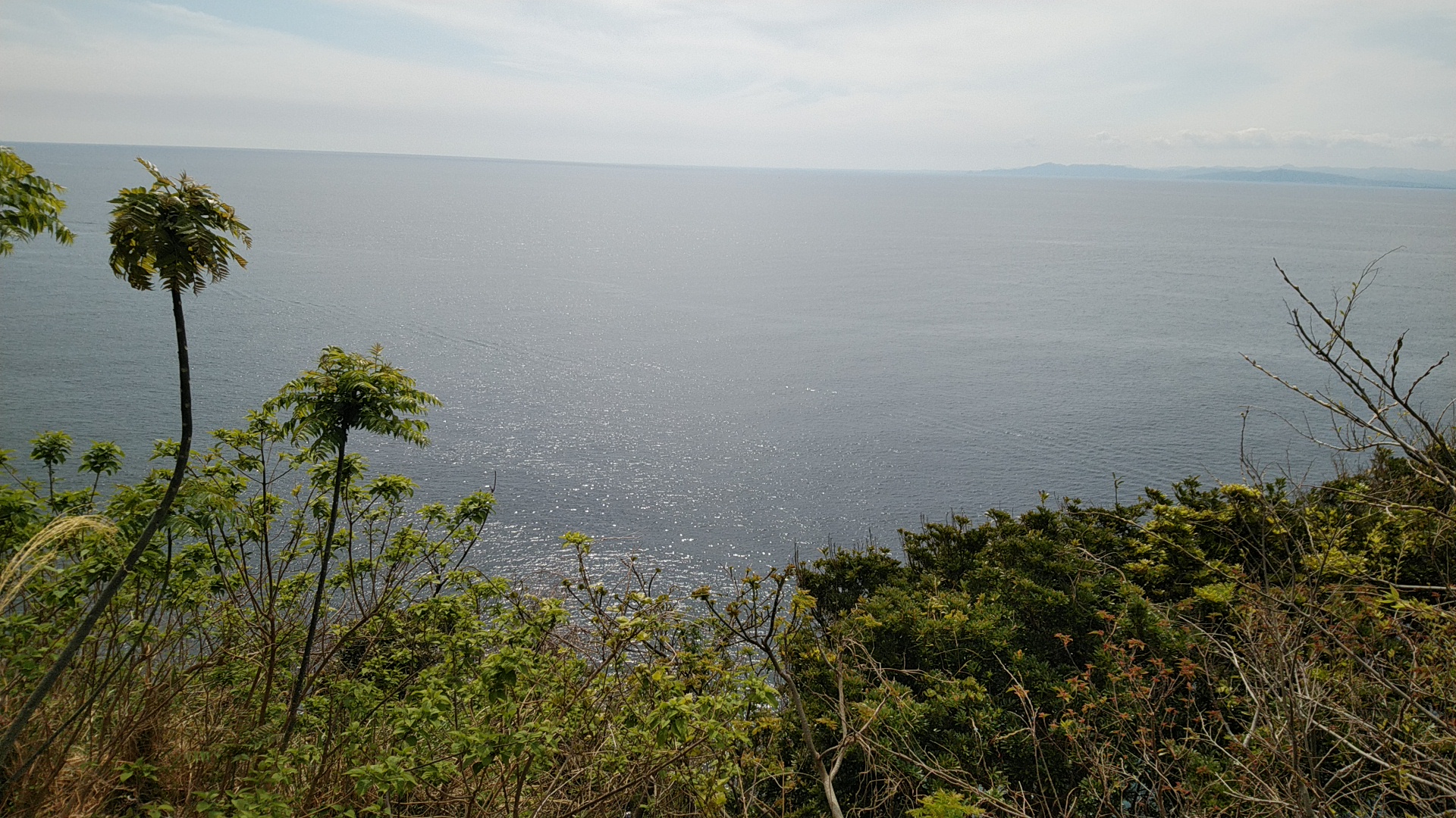 20200415  DSC_0002.jpg