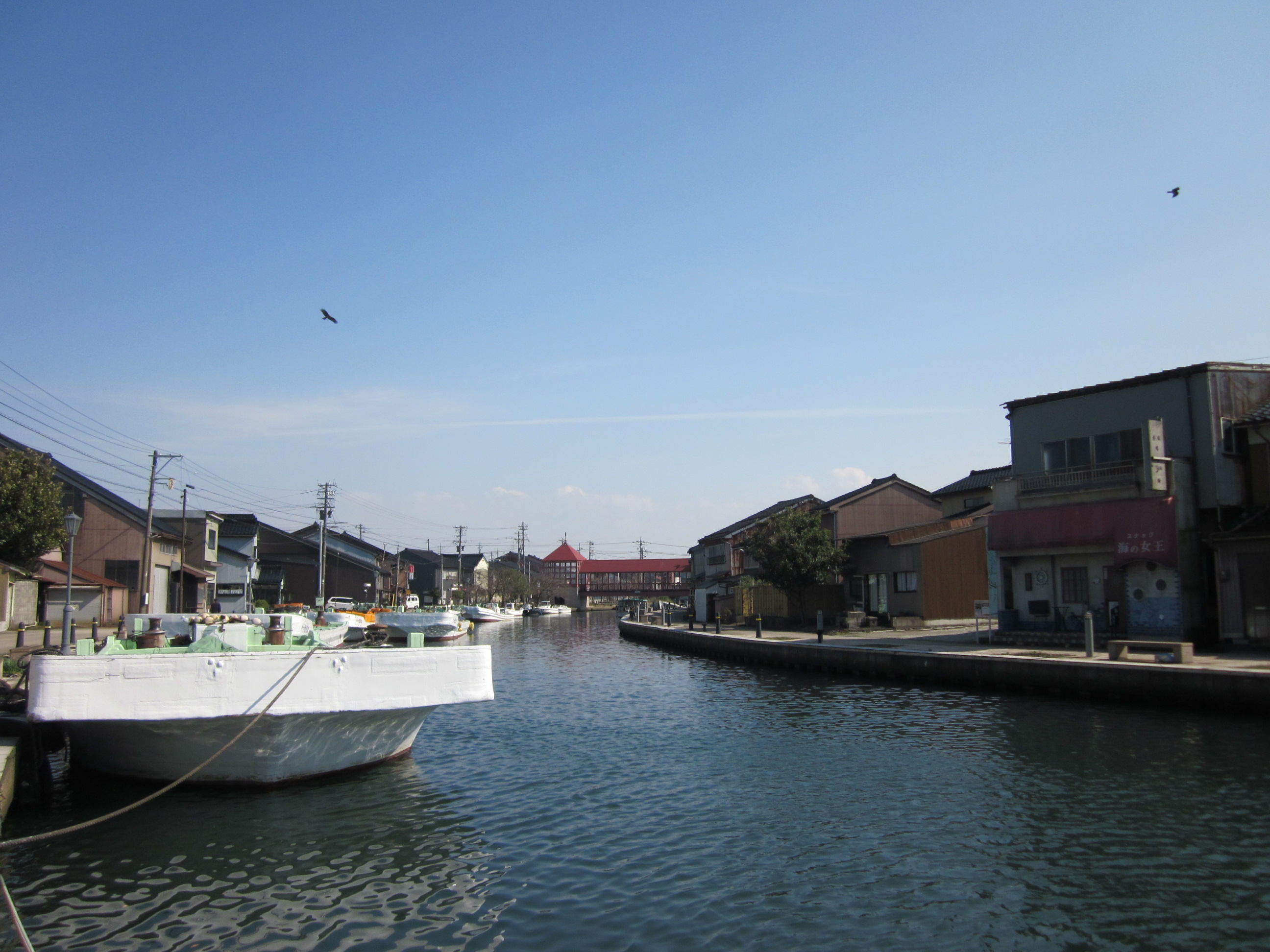 IMG_4121.JPG