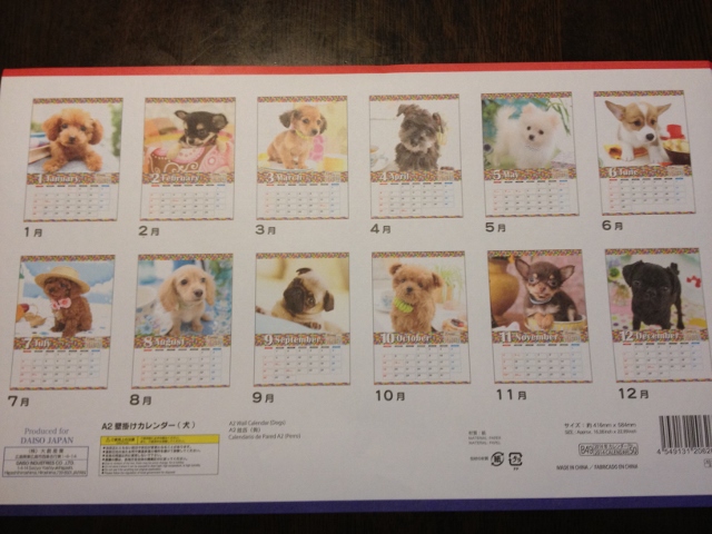 IMG_2520 (640x480).jpg