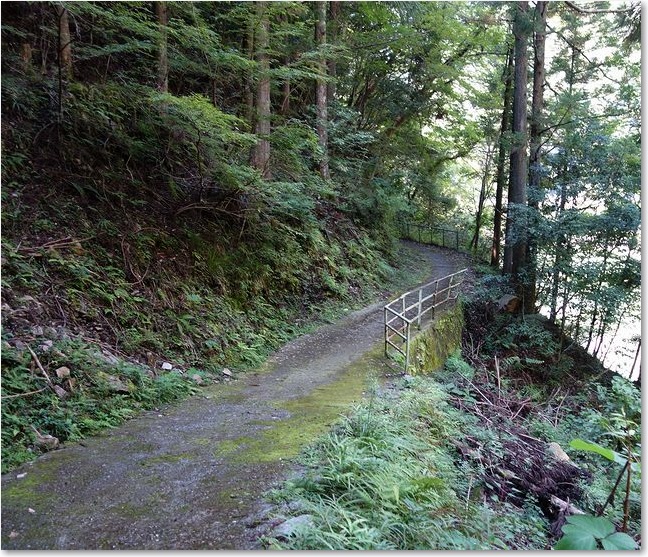 31こんな道です