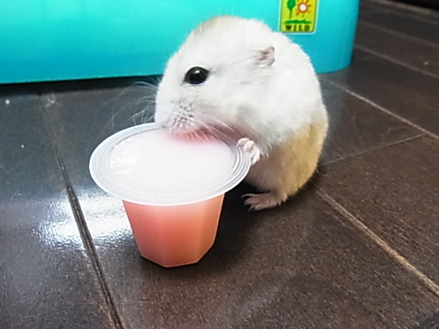 2014_07270056.JPG
