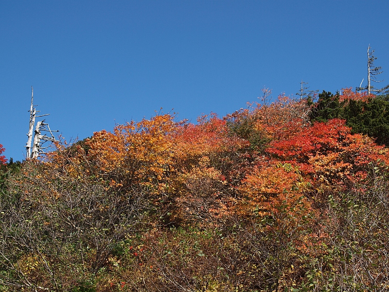 PA079338.JPG