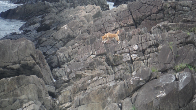 DSCF7301 (640x360).jpg