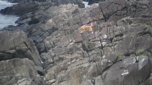 DSCF7301 (640x360).jpg