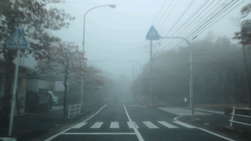 mini_160104_0755.jpg