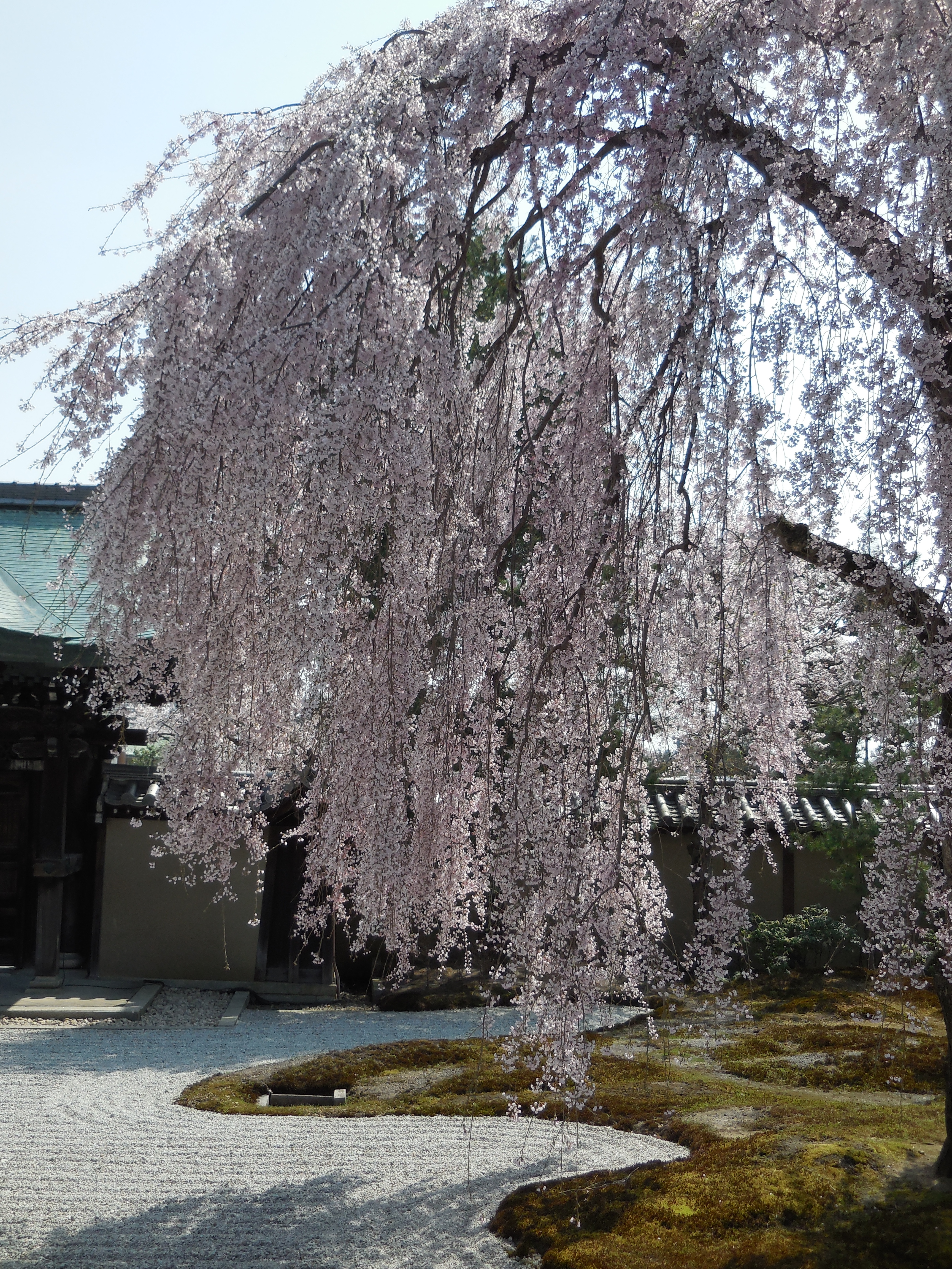 DSCN2035.JPG